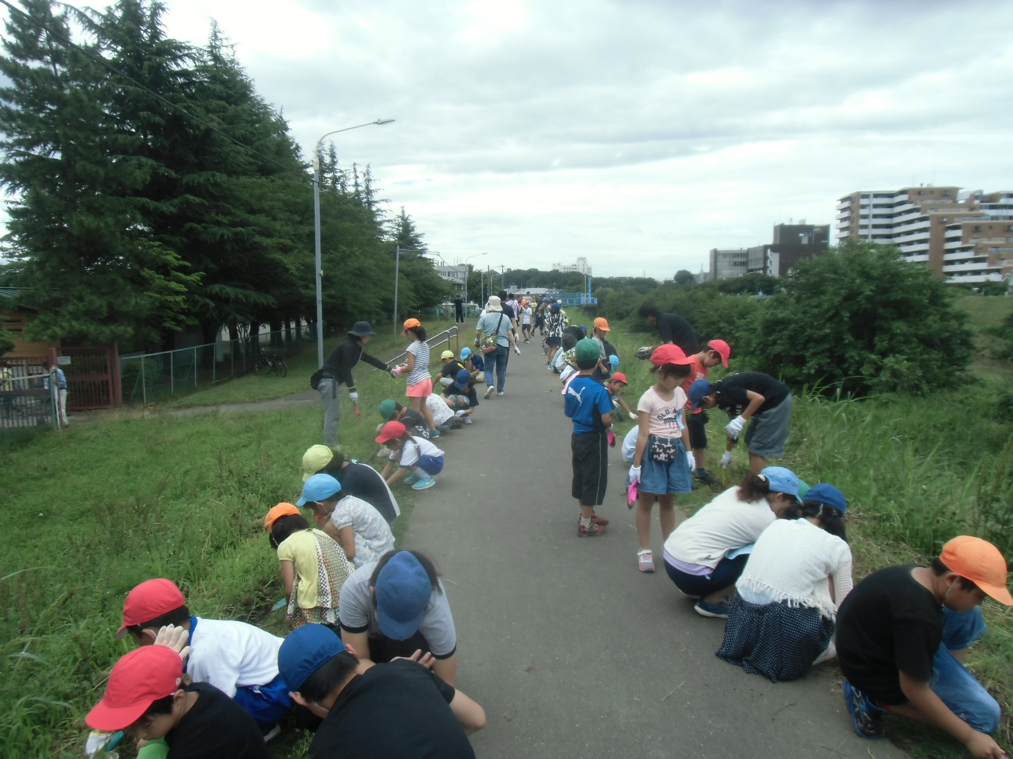志木市立宗岡第四小学校 志木市立宗岡第四小学校 志木市上宗岡112